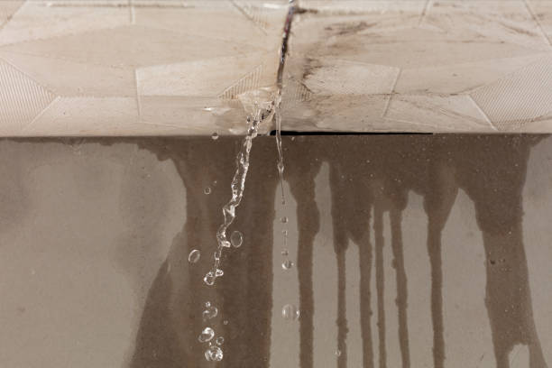 Professional Commercial Water Damage Restoration technician working in Danforth, ME